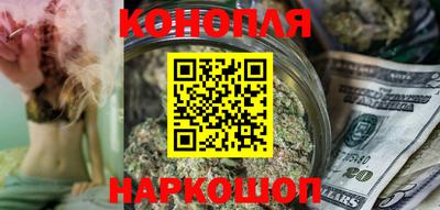 тгк Новодвинск