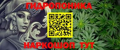 эйфоретик Нальчик