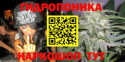 эйфоретик Нальчик
