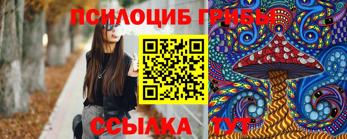 Псилоцибиновые грибы Psilocybine cubensis Иркутск
