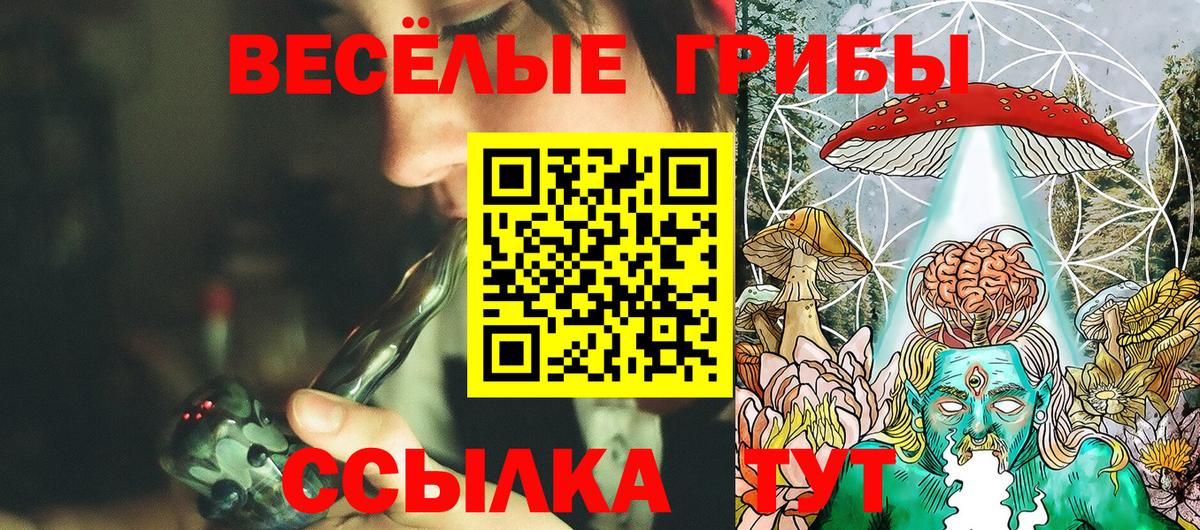 Галлюциногенные грибы Psilocybe  Псилоцибиновые грибы прущие грибы  Иркутск  Вход с VPN 